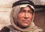 Peter O'Toole