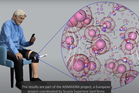 Cartilage regenerated using biomaterials (credit: Scuola Superiore Sant’Anna)