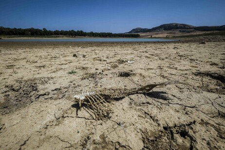 Periodi di siccità sempre più lunghi, almeno10 giorni in più. (ANSA)