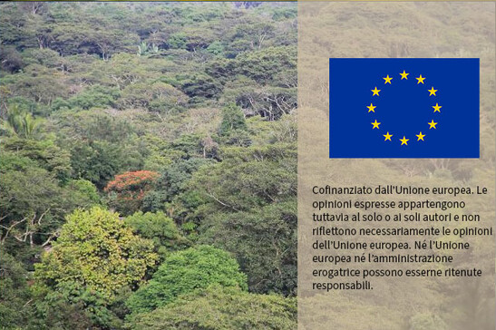 Dall'Eurocamera sì al rinvio alla legge sulla deforestazione ma con modifiche