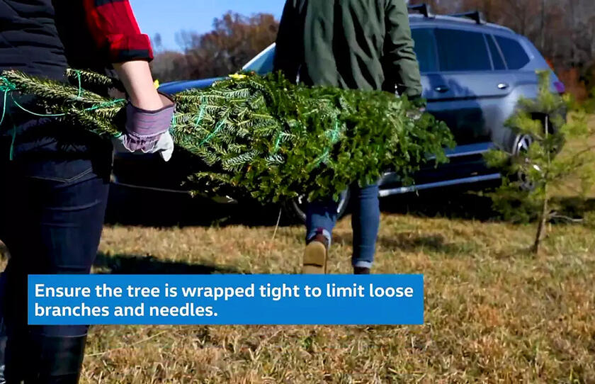 Consigli e regole per trasportare l'albero di Natale