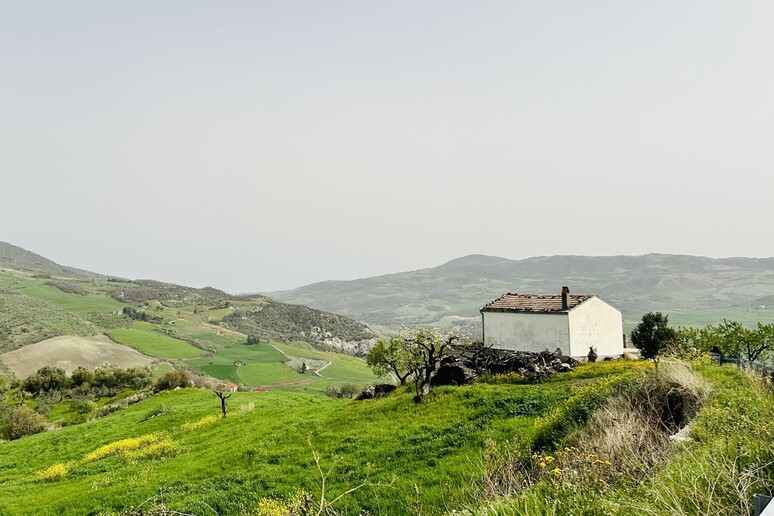 - RIPRODUZIONE RISERVATA