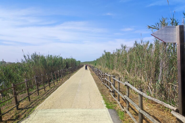 Inaugurato a Fiumicino nuovo tratto ciclabile argine Tevere - RIPRODUZIONE RISERVATA