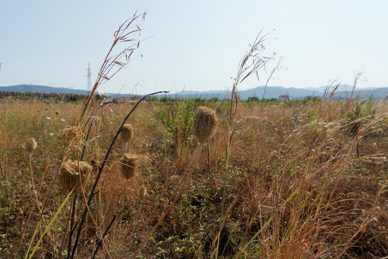 - RIPRODUZIONE RISERVATA